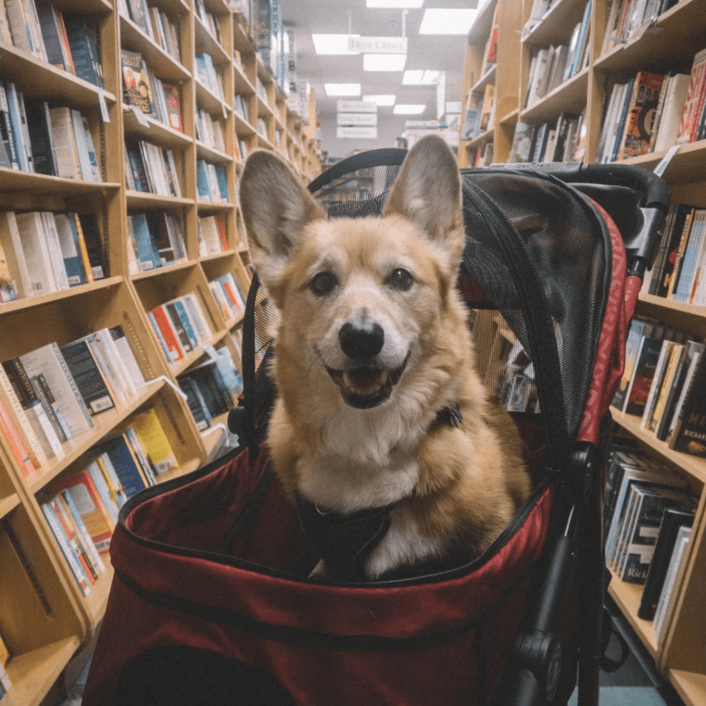 Browseabout Books in Rehoboth Beach, Delaware&nbsp;(2019)