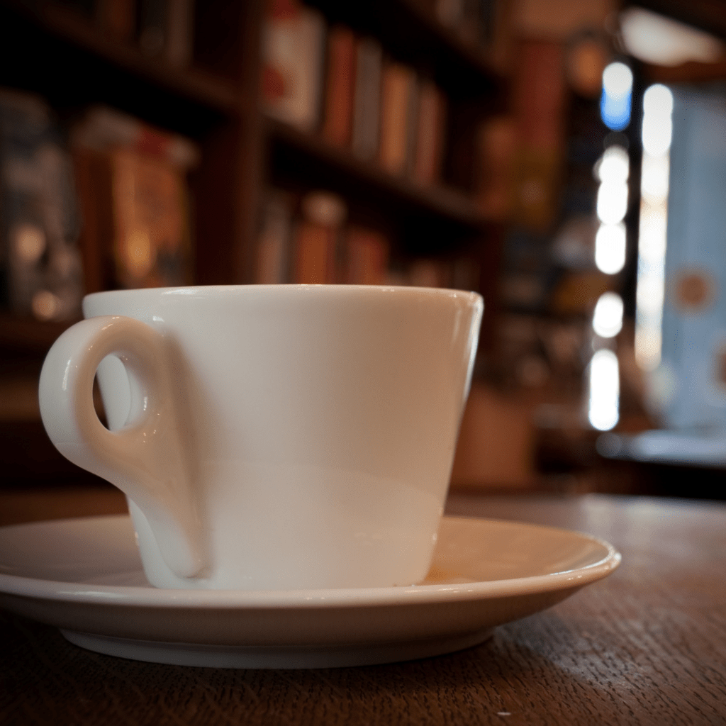 Curious Iguana Bookstore in Frederick,&nbsp;Maryland